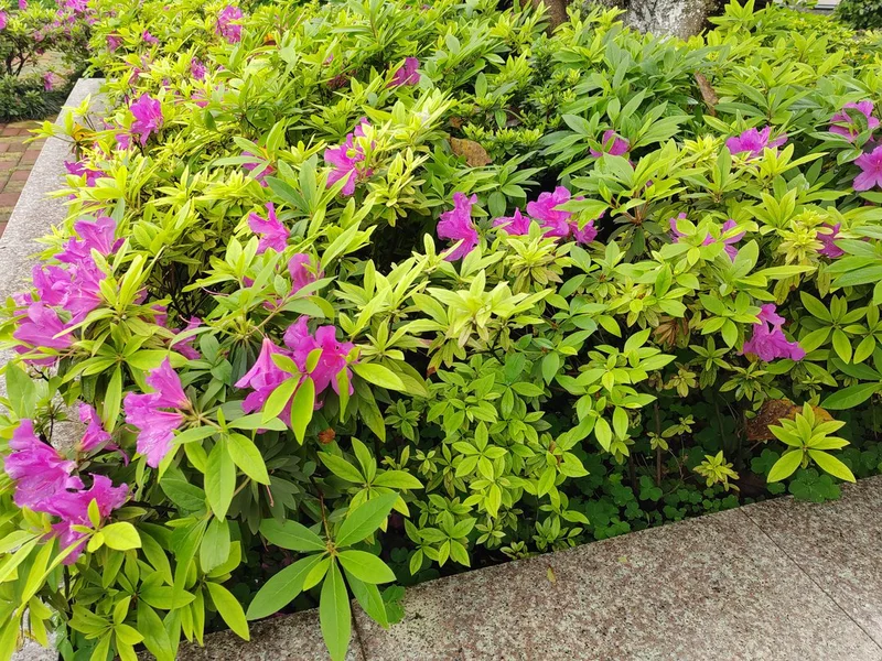 重庆市渝北区殡仪馆指南