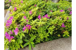 重庆市渝北区殡仪馆指南