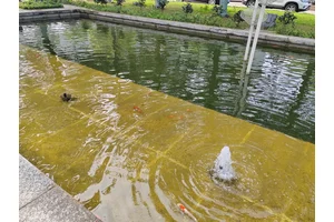 重庆渝北区优质殡葬服务